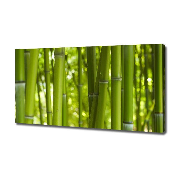 Fotocuadro en lienzo de alta calidad horizontal Bambú