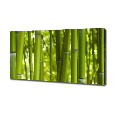 Fotocuadro en lienzo de alta calidad horizontal Bambú