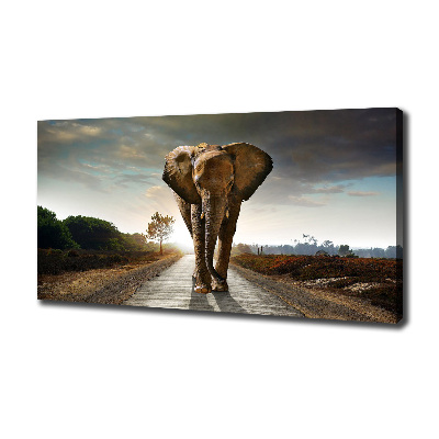 Fotocuadro en lienzo de alta calidad horizontal Elefante caminando