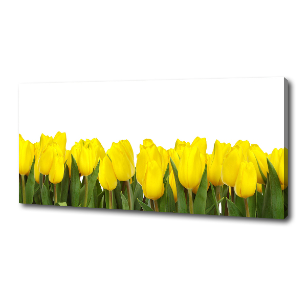 Cuadro canvas con impresión uv duradera horizontal tulipanes amarillos