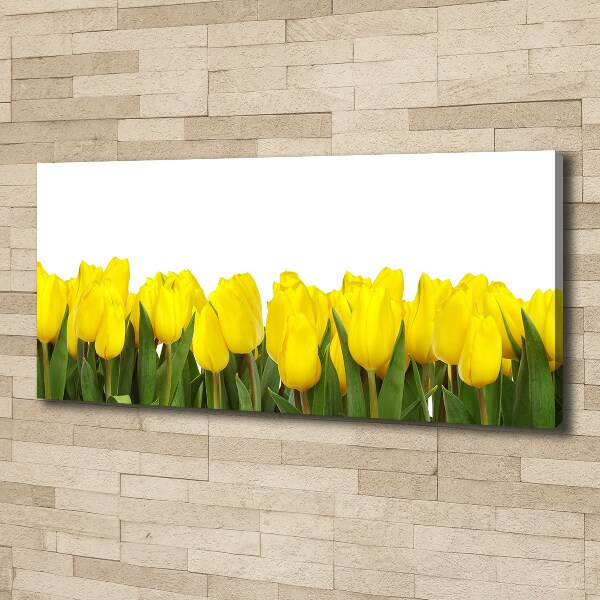 Cuadro canvas con impresión uv duradera horizontal tulipanes amarillos