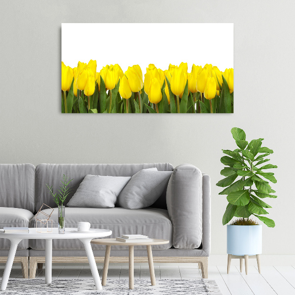 Cuadro canvas con impresión uv duradera horizontal tulipanes amarillos