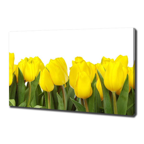 Cuadro canvas con impresión uv duradera horizontal tulipanes amarillos