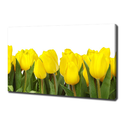 Cuadro canvas con impresión uv duradera horizontal tulipanes amarillos