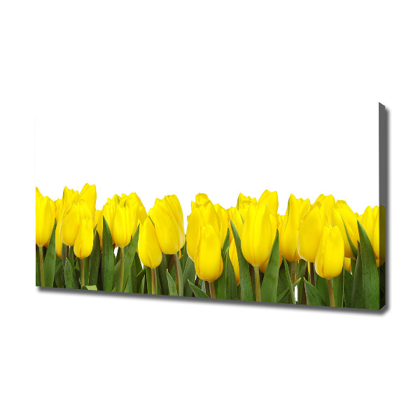 Cuadro canvas con impresión uv duradera horizontal tulipanes amarillos