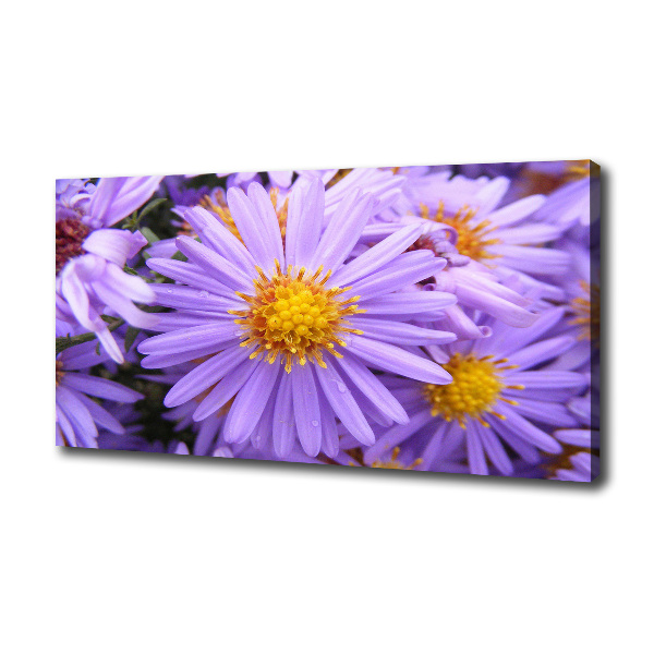 Cuadro canvas moderno de gran formato horizontal Asters