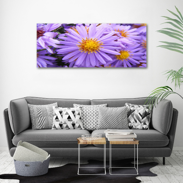 Cuadro canvas moderno de gran formato horizontal Asters