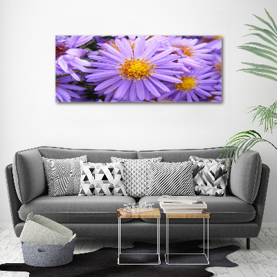 Cuadro canvas moderno de gran formato horizontal Asters