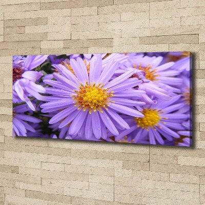 Cuadro canvas moderno de gran formato horizontal Asters