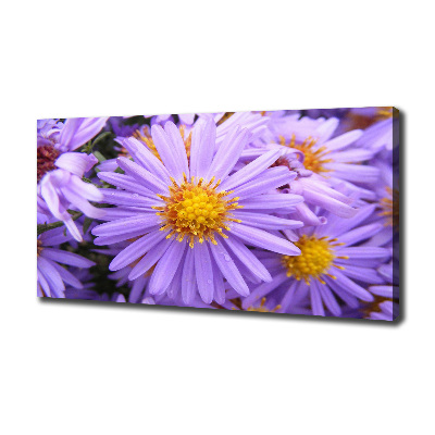 Cuadro canvas moderno de gran formato horizontal Asters