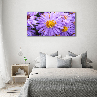 Cuadro canvas moderno de gran formato horizontal Asters