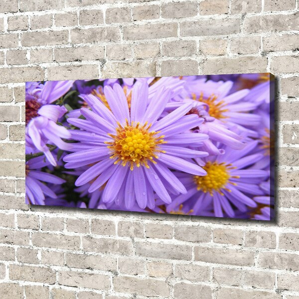 Cuadro canvas moderno de gran formato horizontal Asters