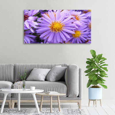 Cuadro canvas moderno de gran formato horizontal Asters