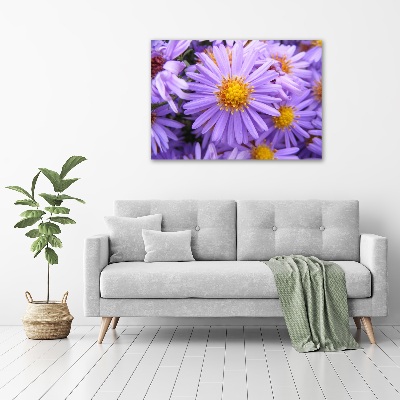Cuadro canvas moderno de gran formato horizontal Asters