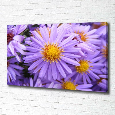 Cuadro canvas moderno de gran formato horizontal Asters