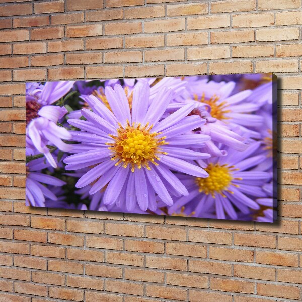 Cuadro canvas moderno de gran formato horizontal Asters