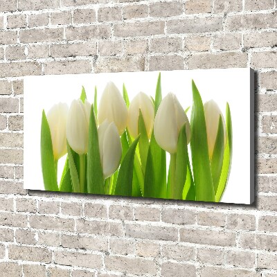 Foto obraz canvas Tulipany
