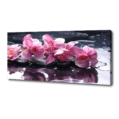 Fotocuadro en lienzo de alta calidad horizontal Orquídea rosa