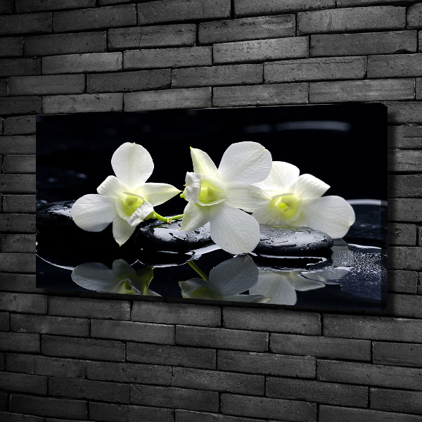 Cuadro canvas con impresión uv duradera horizontal Orquídea