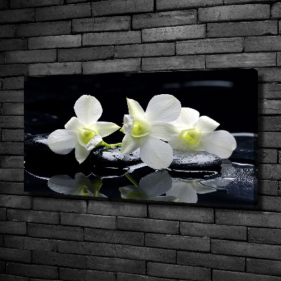 Cuadro canvas con impresión uv duradera horizontal Orquídea