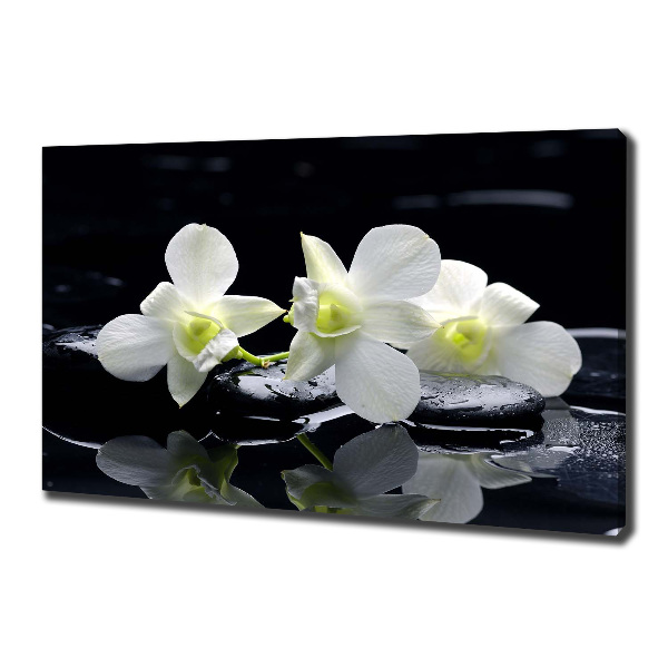 Cuadro canvas con impresión uv duradera horizontal Orquídea