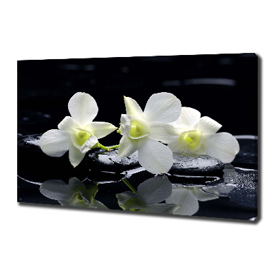 Cuadro canvas con impresión uv duradera horizontal Orquídea