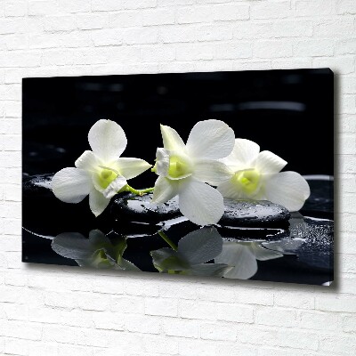 Cuadro canvas con impresión uv duradera horizontal Orquídea