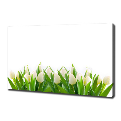 Cuadro canvas moderno de gran formato horizontal tulipanes blancos