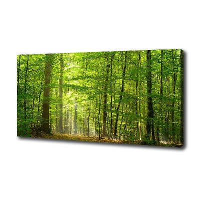 Cuadro canvas moderno de gran formato horizontal Bosque caducifolio