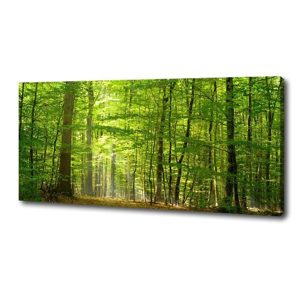 Cuadro canvas moderno de gran formato horizontal Bosque caducifolio