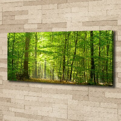 Cuadro canvas moderno de gran formato horizontal Bosque caducifolio