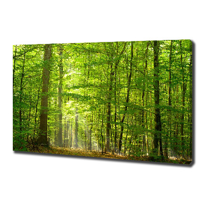 Cuadro canvas moderno de gran formato horizontal Bosque caducifolio