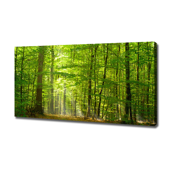 Cuadro canvas moderno de gran formato horizontal Bosque caducifolio