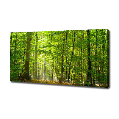 Cuadro canvas moderno de gran formato horizontal Bosque caducifolio