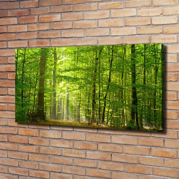 Cuadro canvas moderno de gran formato horizontal Bosque caducifolio