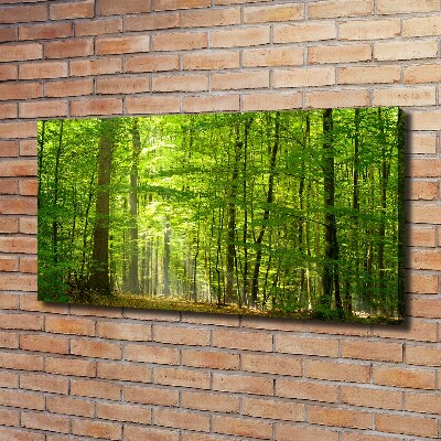 Cuadro canvas moderno de gran formato horizontal Bosque caducifolio