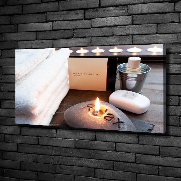 Cuadro canvas moderno de gran formato horizontal Regeneración biológica