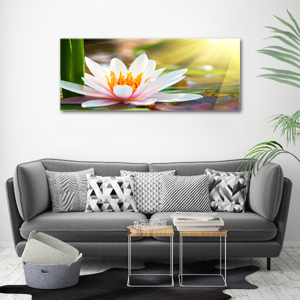 Cuadro canvas con impresión uv duradera horizontal Nenúfar