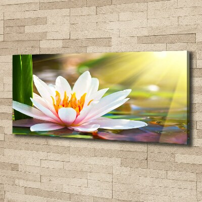 Cuadro canvas con impresión uv duradera horizontal Nenúfar