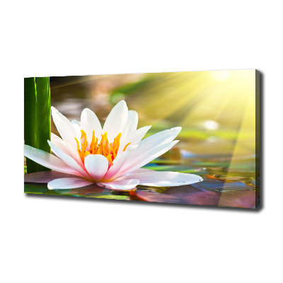 Cuadro canvas con impresión uv duradera horizontal Nenúfar