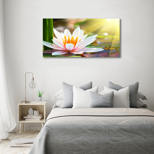Cuadro canvas con impresión uv duradera horizontal Nenúfar