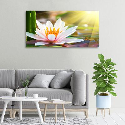 Cuadro canvas con impresión uv duradera horizontal Nenúfar