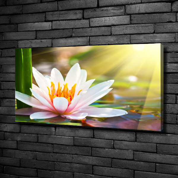 Cuadro canvas con impresión uv duradera horizontal Nenúfar
