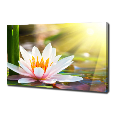 Cuadro canvas con impresión uv duradera horizontal Nenúfar