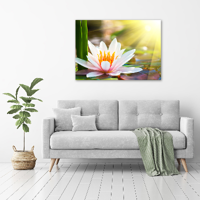 Cuadro canvas con impresión uv duradera horizontal Nenúfar