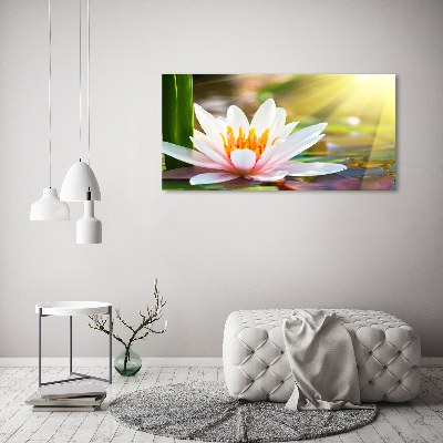 Cuadro canvas con impresión uv duradera horizontal Nenúfar