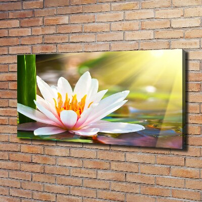 Cuadro canvas con impresión uv duradera horizontal Nenúfar