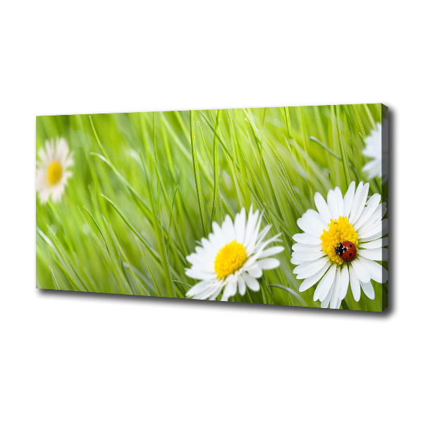 Cuadro canvas moderno de gran formato horizontal margaritas