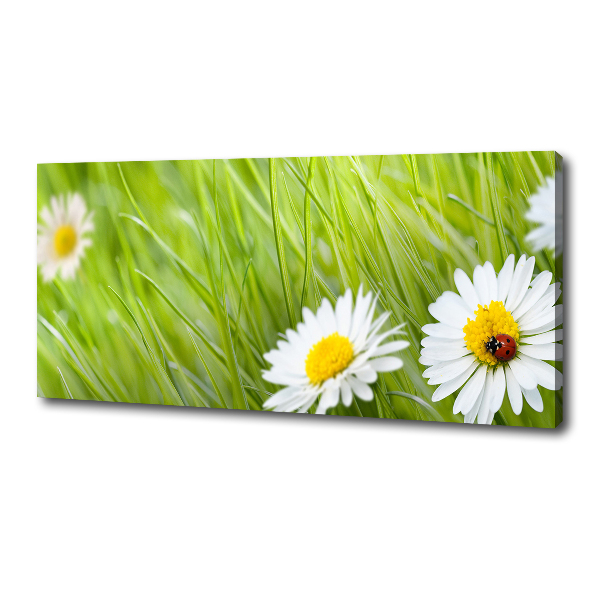 Cuadro canvas moderno de gran formato horizontal margaritas