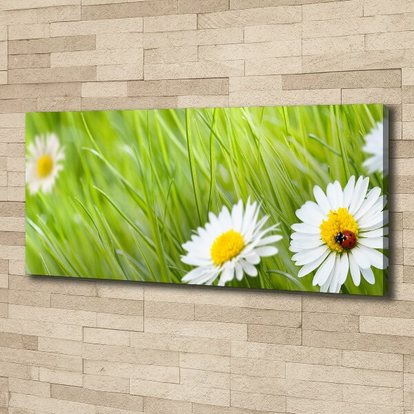 Cuadro canvas moderno de gran formato horizontal margaritas